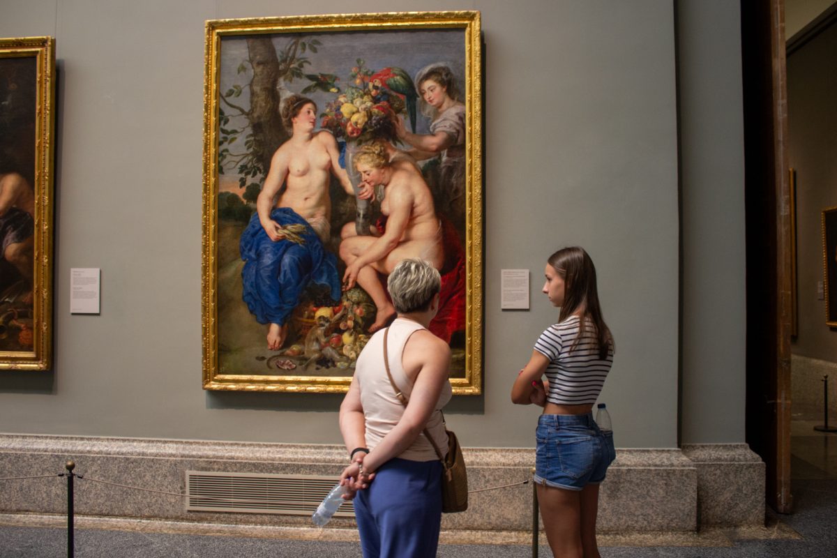 Foto 9 de Acceso Rápido a los Museos Prado y Reina Sofía