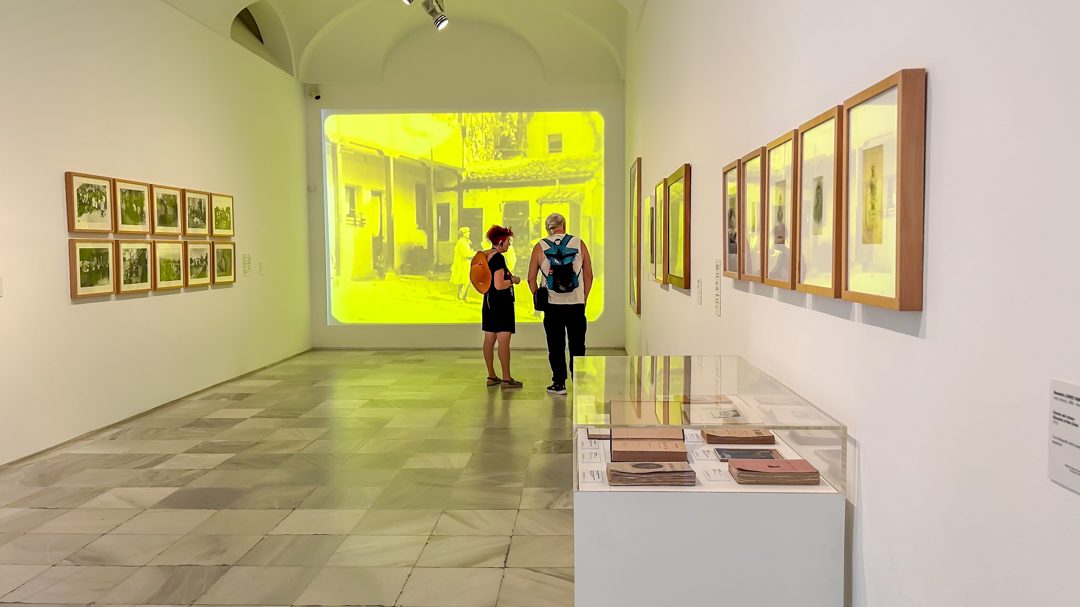 Foto 5 de Acceso Rápido al Museo Reina Sofía