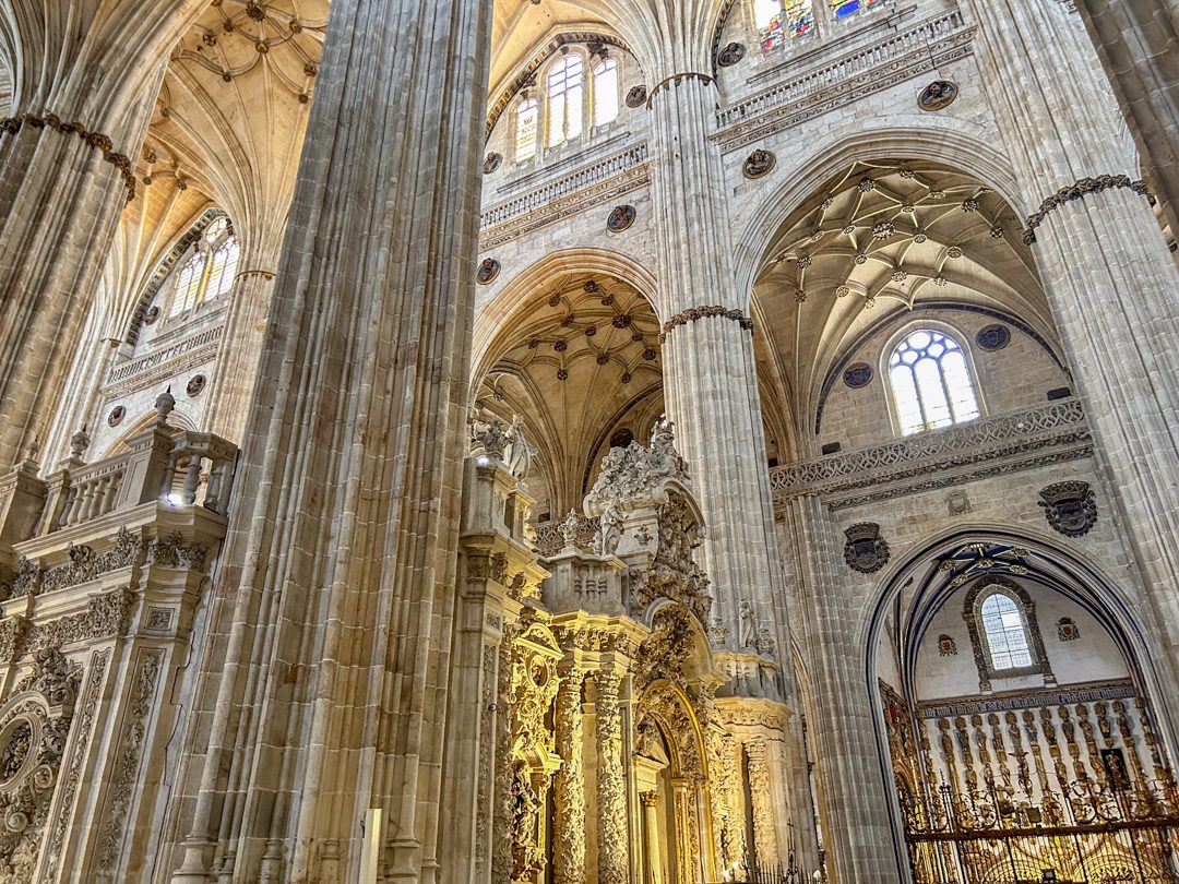 Foto 4 de Tour de día completo a Ávila y Salamanca