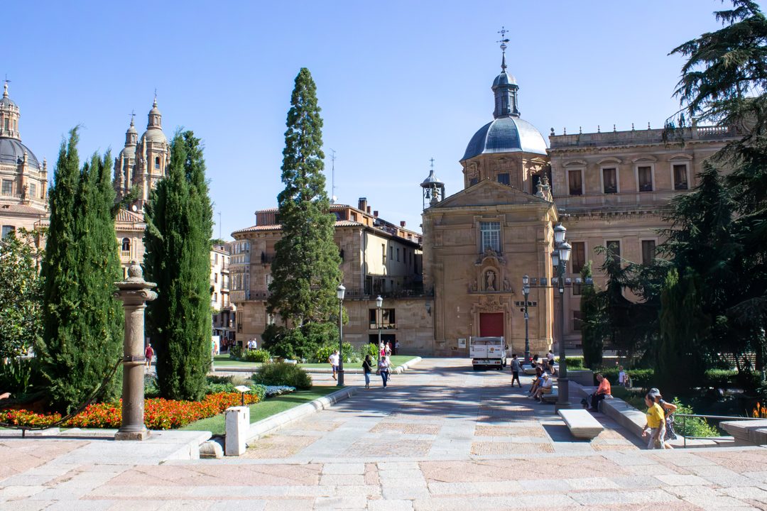 Foto 6 de Tour de día completo a Ávila y Salamanca
