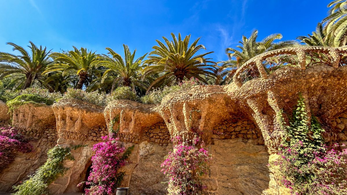 Foto 6 de Tour Guiado por el Parque Güell