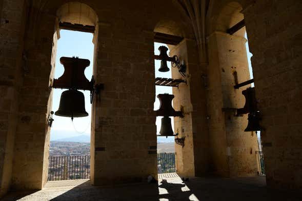 Tour por la Catedral y su torre + Entrada al Palacio Episcopal