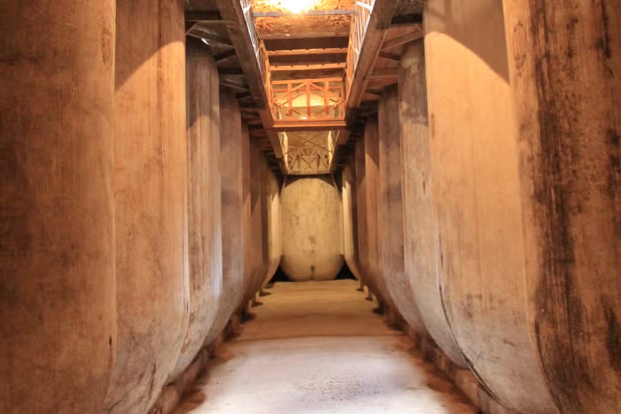 Visita a las cuevas-bodega de Tomelloso