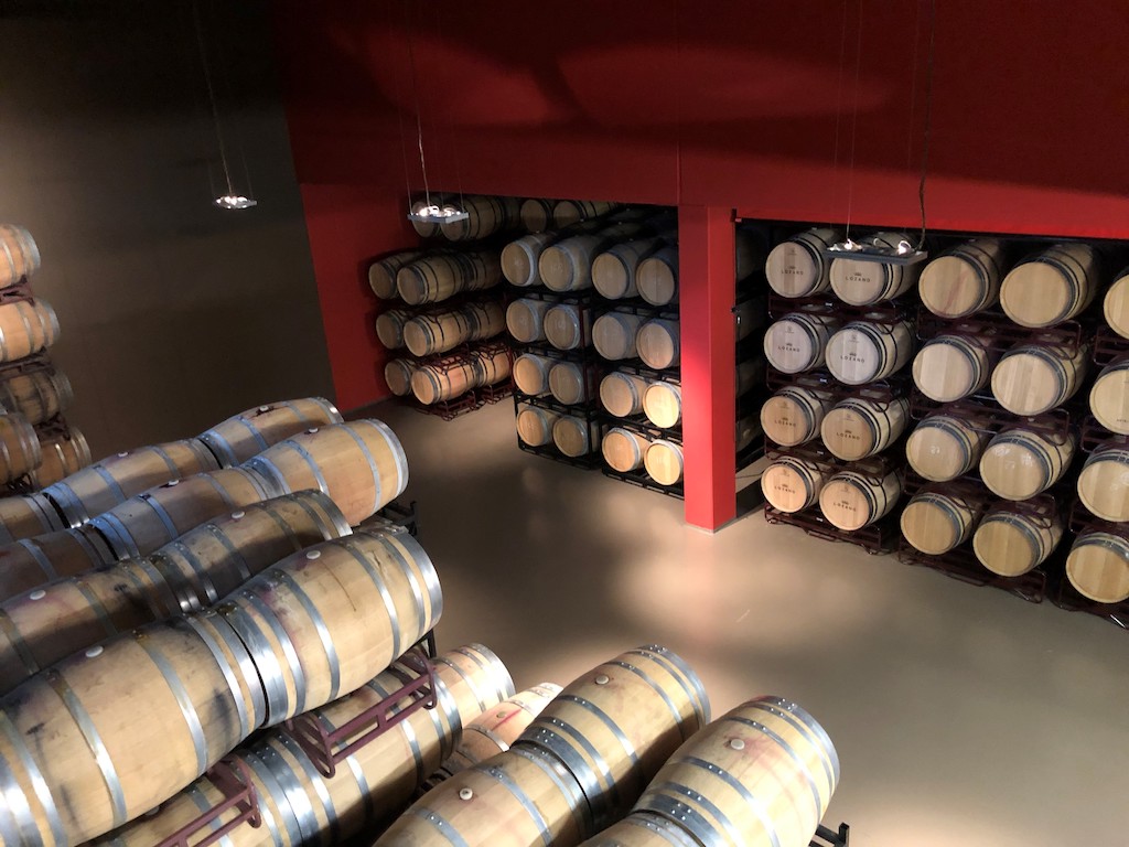 Foto 4 de Bodegas Lozano