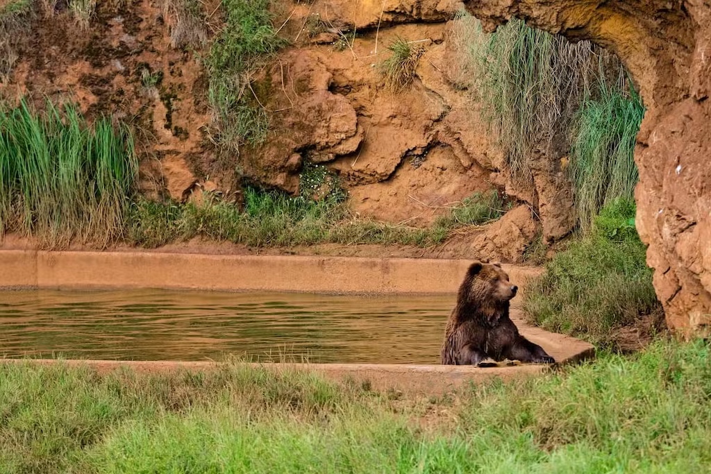 Excursión a Cabárceno