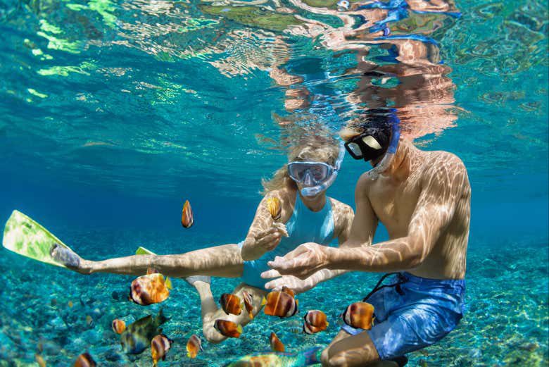 Snorkel en los arrecifes de Bonaire