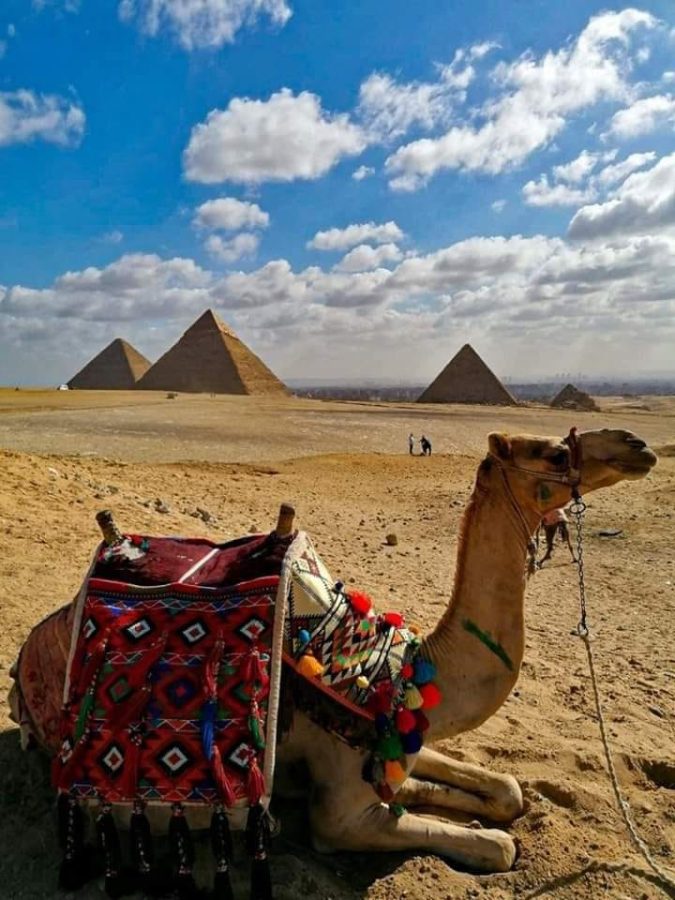 Foto 8 de FREETOUR POR LAS PIRÁMIDES DE GIZA Y LA MAGESTUOSA ESFINGE