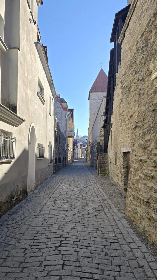 Foto 6 de TOTALLINN – Tour a pie esencial por Tallin