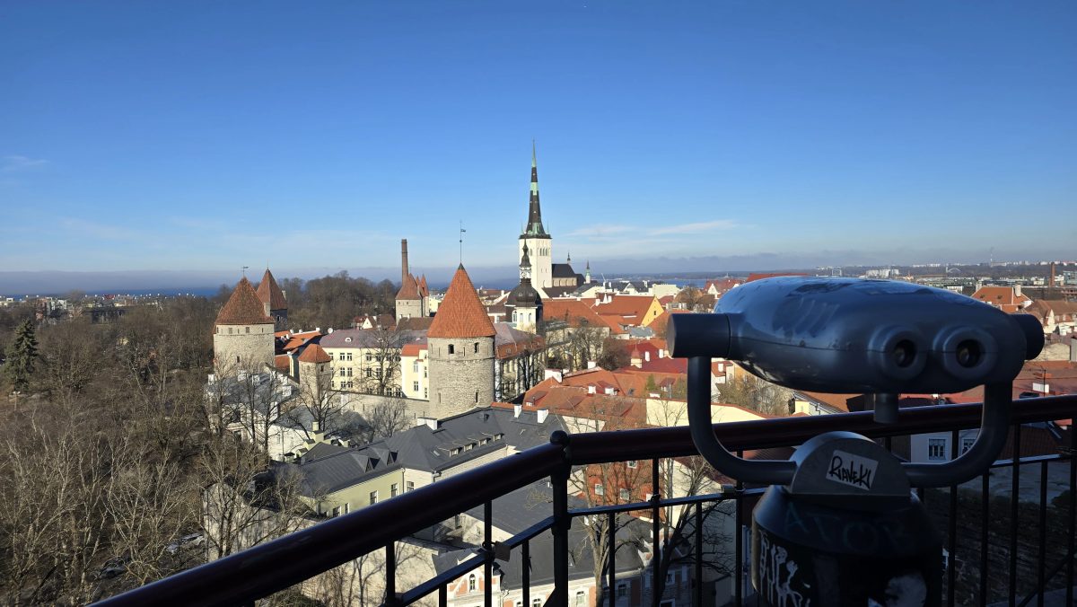 Foto 9 de TOTALLINN – Tour a pie esencial por Tallin