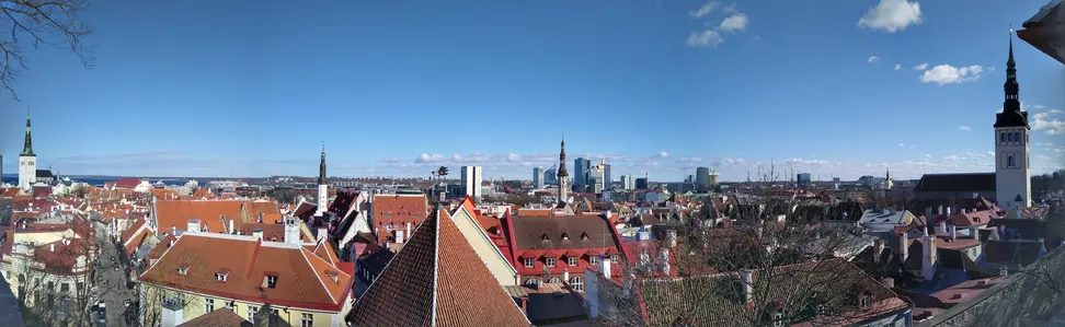 Foto 4 de Tallin alemana: free tour a través de los siglos