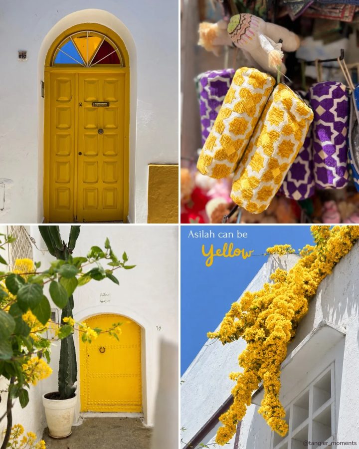 Foto 6 de ¡Explora Asilah con un guía local, arte e historia atlántica!