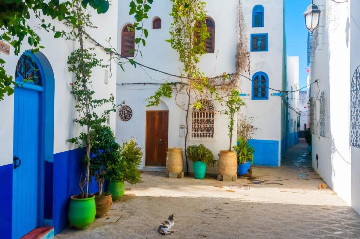 Foto 23 de ¡Explora Asilah con un guía local, arte e historia atlántica!