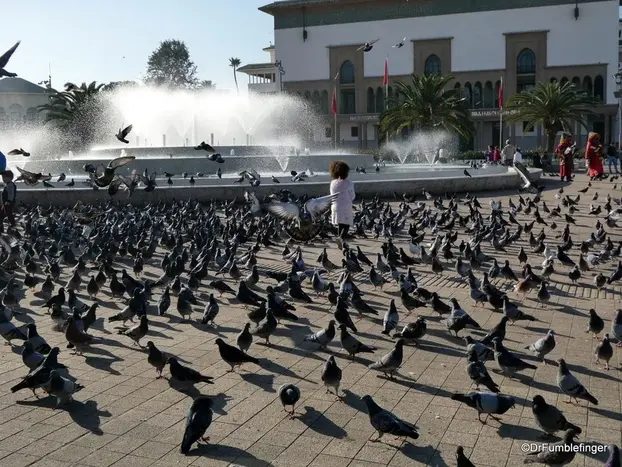Foto 5 de Casablanca Auténtica: Descubrimiento del Alma de la Ciudad"