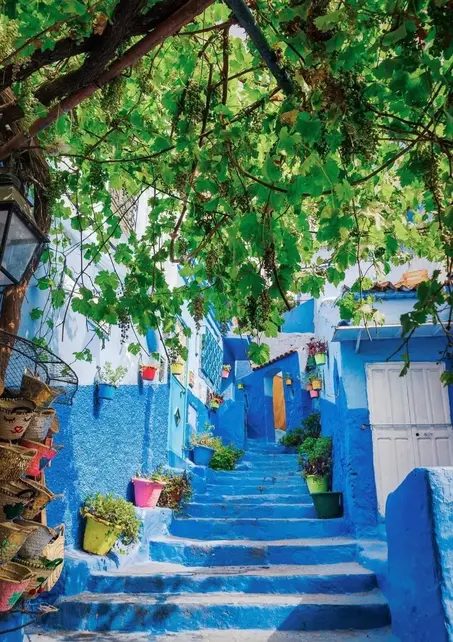 Foto 21 de Descubre LA MEJOR FORMA de conocer CHAOUEN
