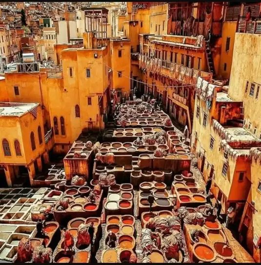 El mejor recorrido cultural a pie por el laberinto más grande del mundo: Fez