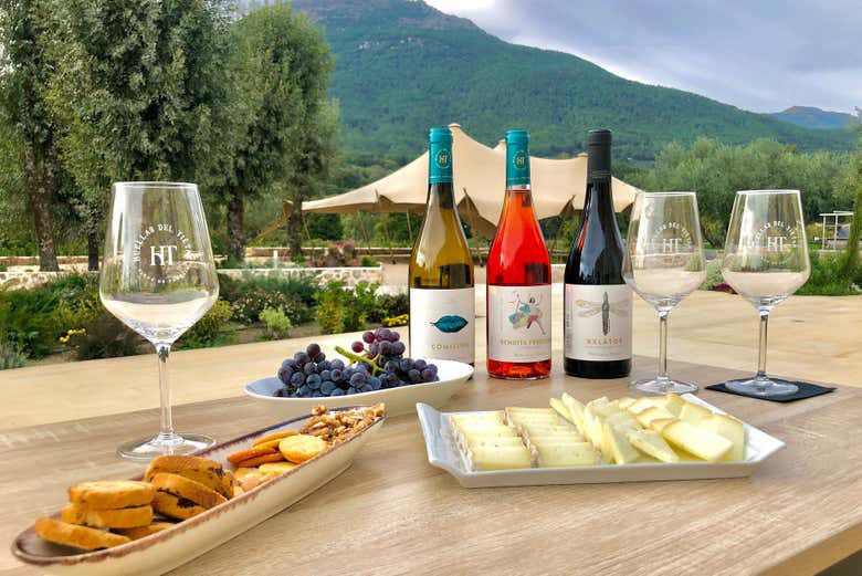 Visita a la bodega Huellas del Tiétar