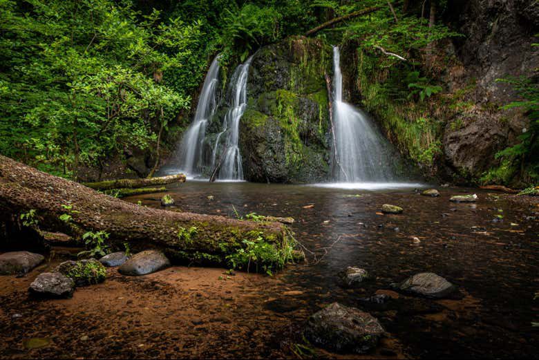Excursión a Black Isle y las cascadas de Fairy Glen + Avistamiento de delfines en North Kessock