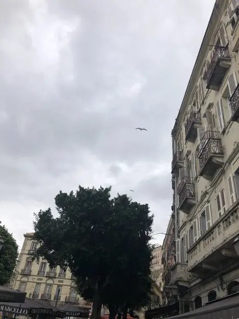 Foto 12 de Free tour por Cagliari: senderismo urbano al atardecer