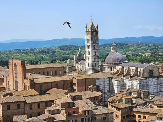 Foto 5 de Los 7 Secretos de Siena: Historia, cultura y leyendas