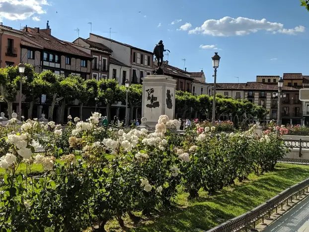Free tour Imprescindible casco histórico de Alcalá de Henares