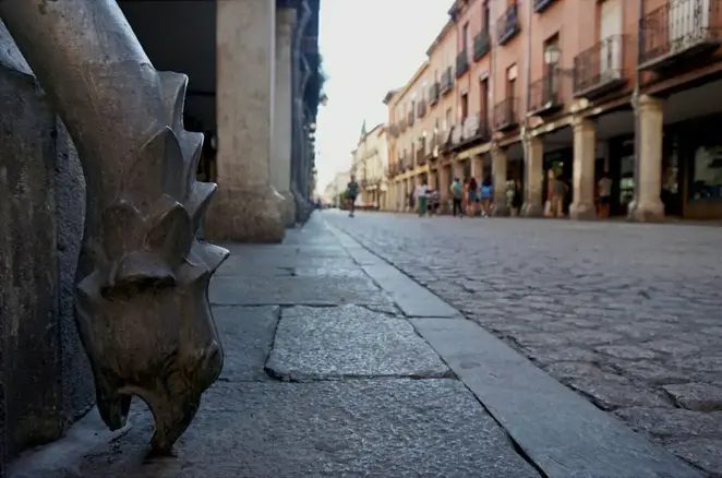 Foto 8 de Free tour Imprescindible casco histórico de Alcalá de Henares