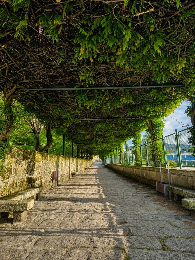 Foto 8 de FREE TOUR POR ALLARIZ: Historia, patrimonio y naturaleza
