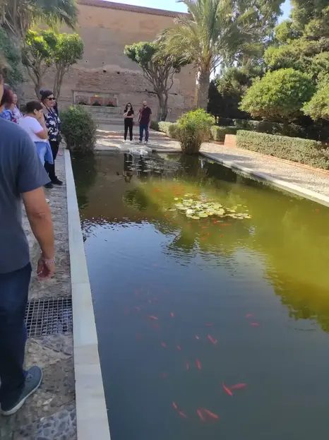 Foto 5 de Free tour Alcazaba de Almería