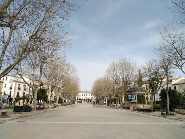 Foto 12 de Freetour por la Baeza Histórica