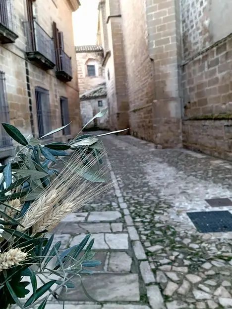 Foto 3 de 'Retorno al pasado: de Viatia a Baeza'. Free tour.