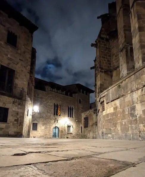 Free Tour por el Casco Antiguo de Barcelona (Barrio Gótico y el Borne)