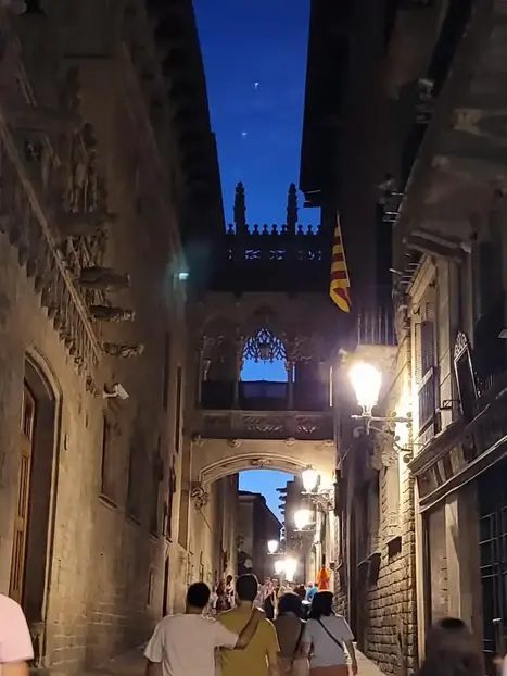 Foto 6 de Free tour nocturno por el Barrio Gótico