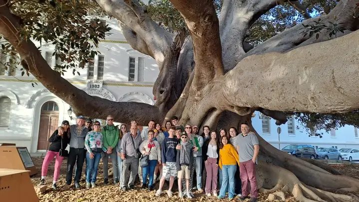 Free Tour Express: Cádiz en 1h