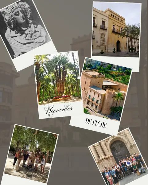 Foto 2 de Elche con guía local: palmeras, historia y curiosidades
