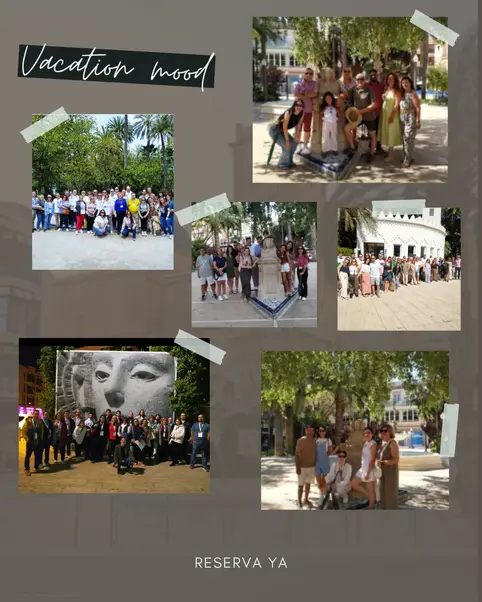 Foto 3 de Elche con guía local: palmeras, historia y curiosidades