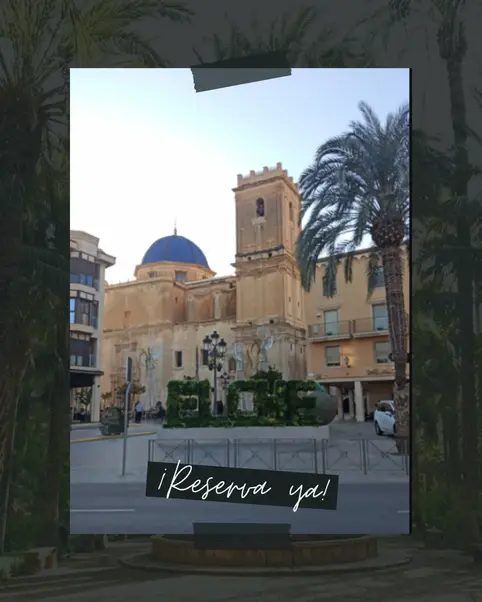 Foto 4 de Elche con guía local: palmeras, historia y curiosidades