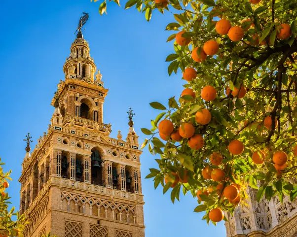 Free Tour Sevilla Imprescindible: La mejor forma de empezar tu viaje