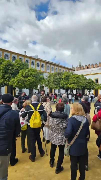 Foto 7 de Free Tour Sevilla Premium: historia y encanto con guías locales