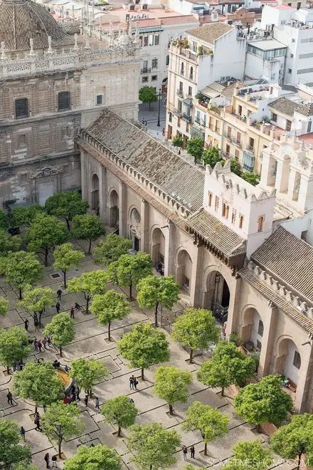 Foto 23 de Free Tour Sevilla Completa + Judería | Guías Sevillanos ¡Lo verás TODO!