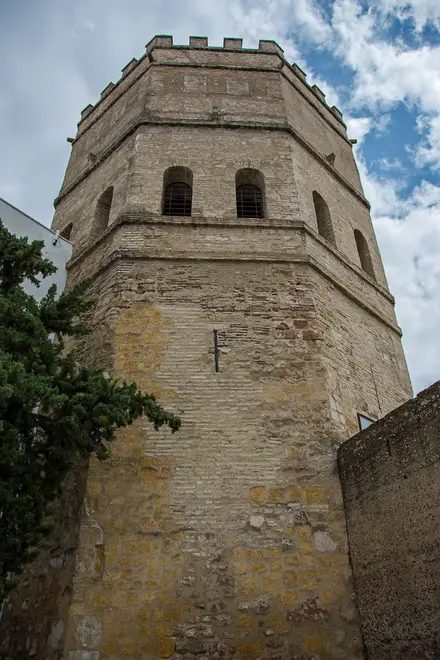Foto 6 de Free Tour por el Casco Histórico de Sevilla