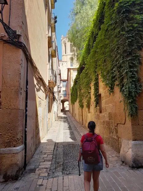 Foto 2 de Free Tour Tarragona al Completo: Un viaje al pasado