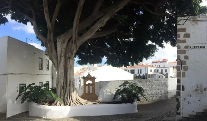 Foto 6 de Paseando y descubriendo Telde, su historia y patrimonio