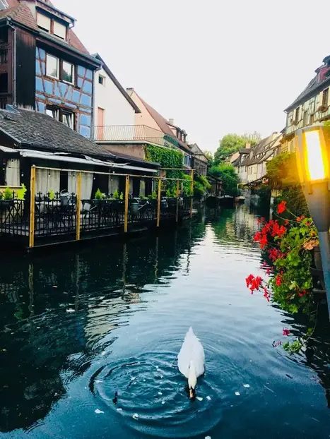Foto 6 de Imprescindible Free tour por Colmar
