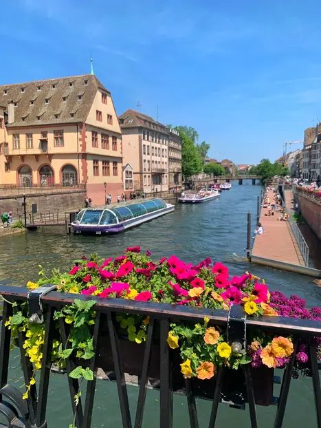 Free tour por Estrasburgo: descubre todo el centro histórico y la Pequeña Francia de cuento de hadas.