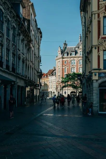 Foto 3 de La Experiencia Definitiva en Lille: Tesoros Ocultos y Destacados Históricos