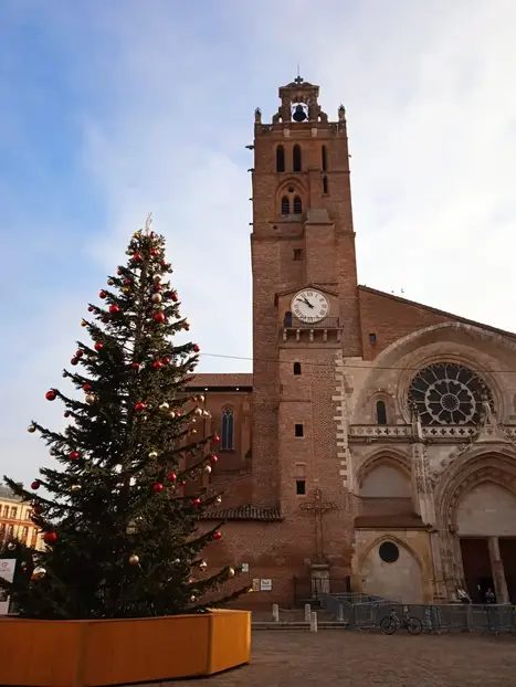 Foto 2 de Free Tour Toulouse: historia y cultura