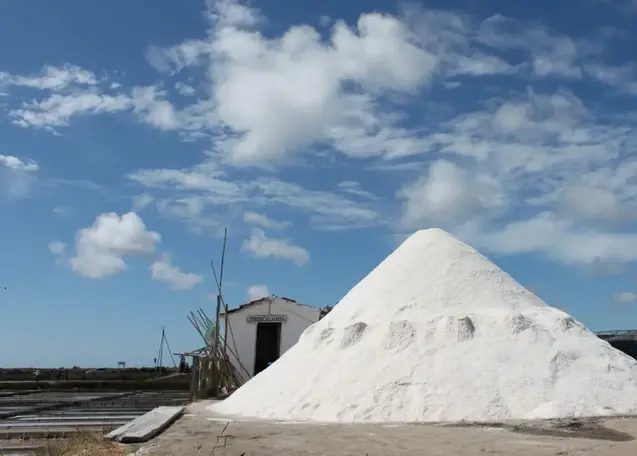 Foto 6 de Free Tour - Patea Aveiro con una guía española