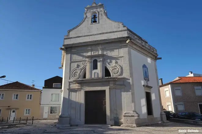 Foto 13 de Free Tour - Patea Aveiro con una guía española