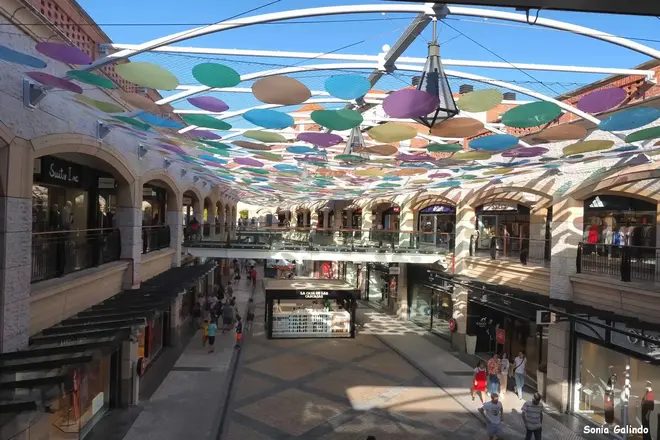Foto 16 de Free Tour - Patea Aveiro con una guía española
