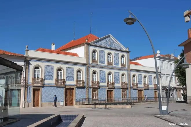 Foto 17 de Free Tour - Patea Aveiro con una guía española