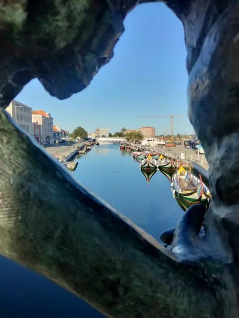 Foto 2 de Free free tour por Aveiro - Routes&Roots de Antonio